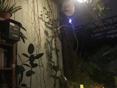 -旧天堂书店(华侨城创意文化园南山特色文化街区店)
