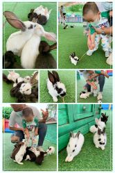 -萌宠亲子动物乐园(槐房万达店)