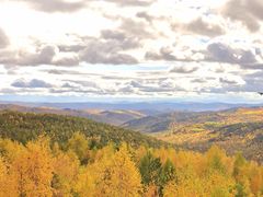 -莫尔道嘎国家森林公园