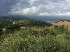 -长虫山生态公园风景林