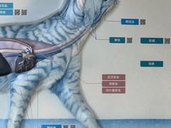 -宠颐生宠物医院外科·内科·皮肤科·影像科(石龙店)