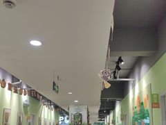 -学知乐教育·幼小衔接·小学科辅导(嘉定镇校区)