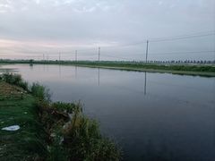 -泗洪洪泽湖湿地景区