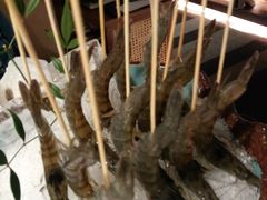 -揽季锅物会.福建黄鱼.海鲜姿造(五四路店)