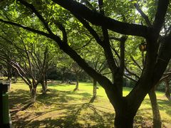 -苏州河梦清园环保主题公园