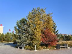 -塞罕坝国家级自然保护区