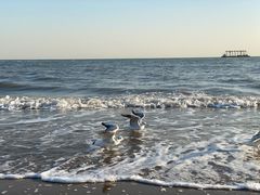 -北戴河东海水浴场