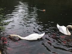 -臻悦海宴.家宴(奥体中心店)