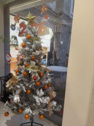 -普洛蒂亚·科技美肤中心