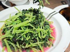 清炒苋菜-朴墅(西湖青芝坞店·杭帮菜·家宴.14年的店)