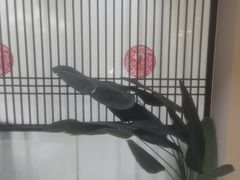 -二分八云雁阁•新晋菜大同味(长治路店)