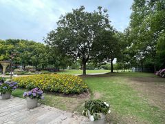 -上海滨江森林公园