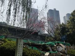 -重庆彩云湖湿地公园