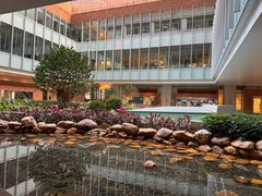 -香港大学