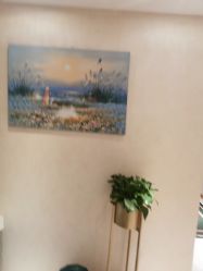 -薇兰专业脱毛连锁机构