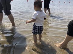 -碧海金沙