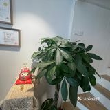 地点：天台金融广场 门牌号需要在楼下呼叫 环境：很温