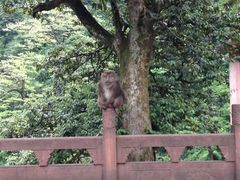 -峨眉山风景名胜区