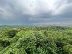 -南京老山国家森林公园
