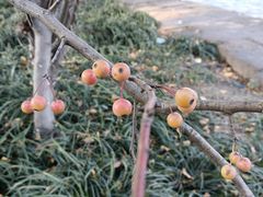 -浙江大学(舟山校区)