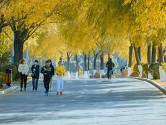 -丁香湖公园