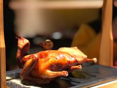 -羽鸽集·乳鸽专门店·地道顺德菜(岭南站店)