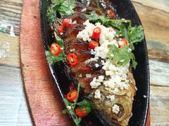 铁板鲫鱼-一只羊烧烤(东湾半岛店)