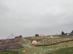 -空港花田景区