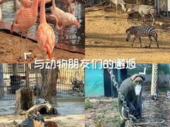 -南昌动物园