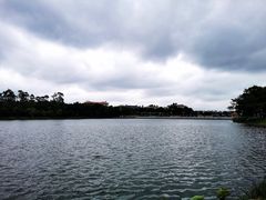 -南国桃园旅游度假区