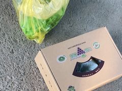 -马陆小张葡萄园农家乐