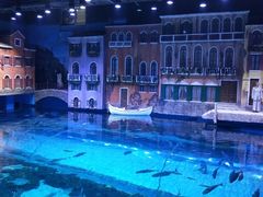 -华夏文旅海洋公园