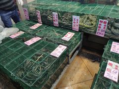 -荔城生鲜盛宴(番禺旗舰店)