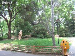 -紫竹院公园冰场