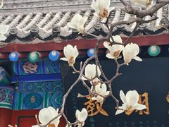 -万寿八仙宫