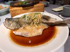 -YAFEE雅菲·粤菜·湘菜·融合菜(魏公村店)