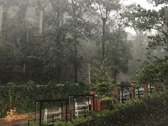 门面-Local泰莲庭(虹鳟鱼店)