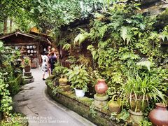 -青城甲(青城山店)