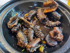 生啫黄鳝煲-粤秀小厨·广式早茶(辽宁路店)