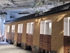 -大视光学•LINDBERG林德伯格•全球手工眼镜集合店(王府井店)