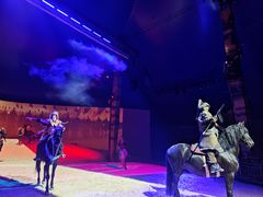 -水秀国际大剧院