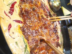-青年火锅(吾悦广场直营店)