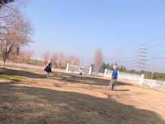 -漕湖湿地公园