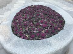 -湘聚缘.湖南菜(光明路店)