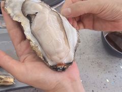 -仙螺岛海鲜自助餐厅(总店)