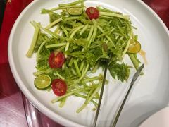 -九十九顶毡房(清河店)