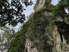 -七仙岭温泉国家森林公园