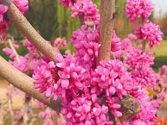 -白塘生态植物园