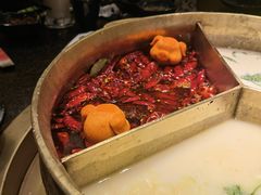 -湊湊火锅·茶憩(打浦桥日月光店)