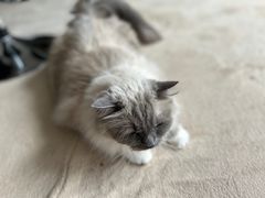 -零纪元VR体验馆·桌游(黄浦店)